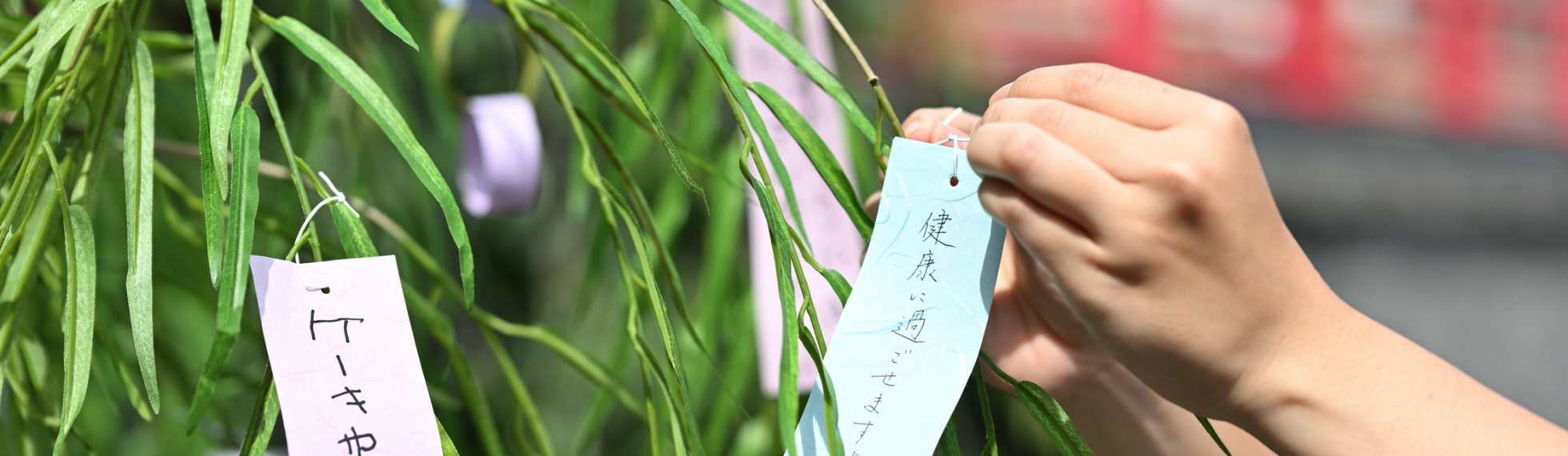 🌟 Nouvelle vitrine : Tanabata , la fête des étoiles
