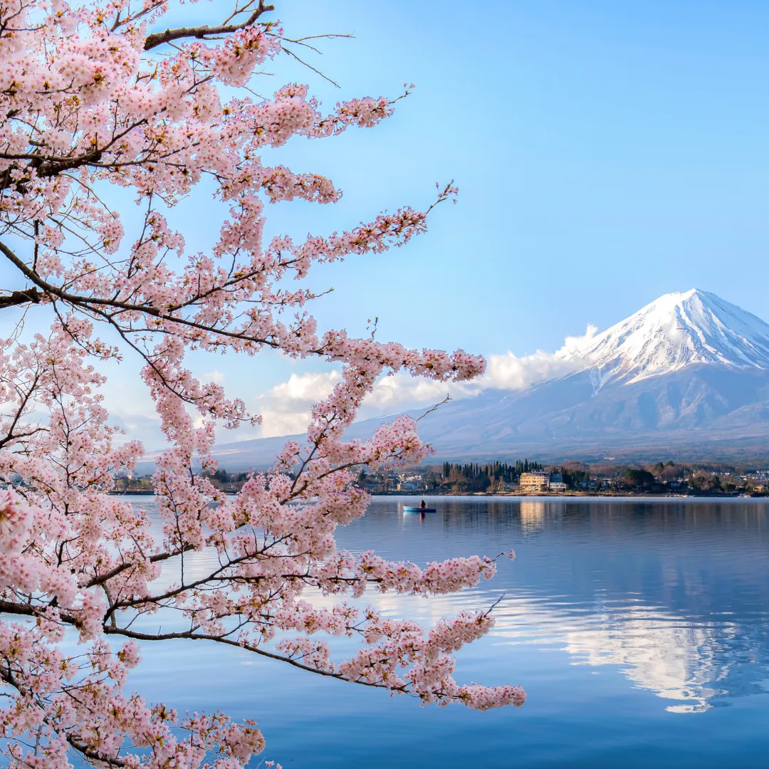 Vue sur le mont Fuji au japon