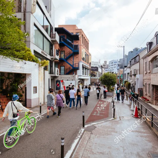 Cat Street